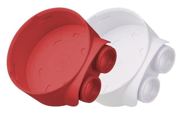 Flashni - Rolp Taban